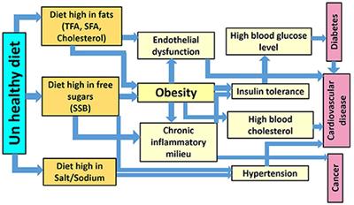 Unhealthy Dietary Habits and Obesity: The Major Risk Factors Beyond Non-Communicable Diseases in the Eastern Mediterranean Region